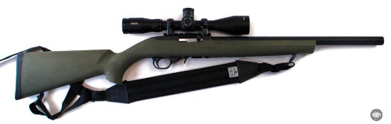 Ruger 10-22 - .22LR - Bull Barrel - Cabela's Multi Turret Rimfire 3-9x40 Scope