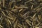 20 Pounds of Brass - Assorted Cartridges