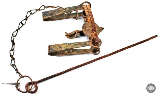 Antique Victor Double Spring Trap with Chain and Anchor Spike