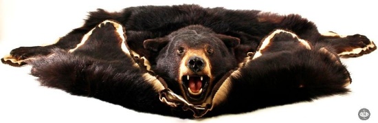 Black Bearskin Rug with Textile Lining  Luxurious, Durable, Rustic Home Decor