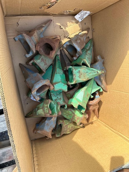Bucket Teeth