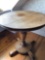 28â€ Wooden round table