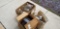 5 tray food dehydrator,  glass neck jars, food strainer
