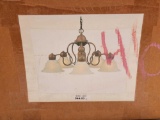 New chandelier & toilet seat