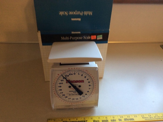 Hanson kitchen scale