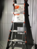 Little Giant multi ladder