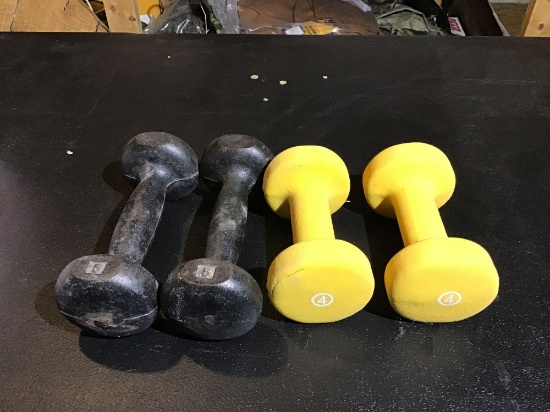 Two pair hand weights