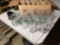 Eagles, Stella Artois, Samuel adams glass cups