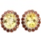 Natural Citrine & African Garnet Earrings