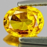 Natural Golden Yellow Sapphire 1.32 Cts