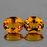 Natural Golden Yellow Pair Citrine 9 x 7 MM  VVS