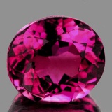 Natural Nice Pink Tourmaline 2.62 Cts {Flawless-VVS1}