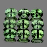 Natural AAA Ceylon Green Sapphires 3.02 Cts - FL