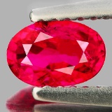 Natural Burma Pigeon Blood Red Spinel 1.04 Ct