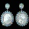 Natural Opal & Mother of Pearl Earrings