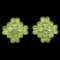 Natural Peridot 46 carats Earrings