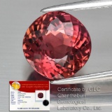 Natural Unheated Purple Pink Tourmaline 3.56 Cts