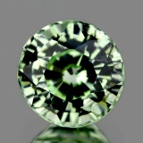 Natural Green Sapphire 0.55 Cts {VVS}