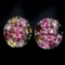 Natural Fancy Tourmaline Ruby Earrings
