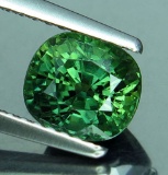 Natural  Green Sapphire 2.03 Carats - VS