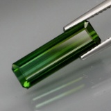 Natural Green Tourmaline  4.04 Cts