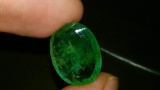 Natural Top Emerald 7.66 Carats - Certified