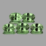 Natural Green Sapphire (5 Pcs) 5x3.5 MM - FL
