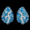 Natural Rare Brazil Neon Blue Apatite Earrings