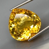Natural  Brazil Yellow Citrine 17.46 Cts