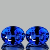 Natural Kashmir Royal Blue Sapphire Pair 5x4 MM - VVS