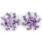 Natural Brazil Amethyst Stud Earrings