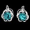 Exquisite Top Neon Blue Apatite Earrings