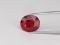 Natural Pigeon Blood Red / Vivid Red Ruby 1.59 Ct