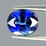Natural Kashmir  Royal Blue Sapphire 5.5x4.5 MM - VVS