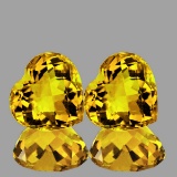 Natural Golden Yellow Citrine Hearts Pair Flawless