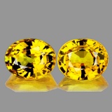 Natural Golden Yellow Pair 5x4 MM - VVS