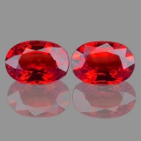 Natural Vivid  Red Burma Ruby Pair - VVS