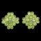 Natural Peridot 46 carats Earrings