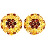 NATURAL MULTI COLOR CITRINE & GARNET Earrings