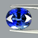 Natural Kashmir  Blue Sapphire 5x4 MM - VVS