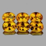 Natural Golden Yellow Citrine 6 Pcs {Flawless-VVS1}