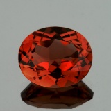 Natural  AAA Champagne Imperial Topaz 12x10 MM - FL