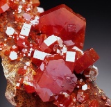 Natural VANADINITE Crystals on Matrix - MOROCCO