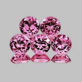 NATURAL TOP PINK TOURMALINE 5 Pcs - Flawless