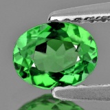 Natural AAA Green Tsavorite Garnet {VVS}