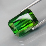 Natural Bluish Green Tourmaline 4.16 Ct