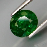 Natural Top Green Tsavorite Garnet 2.58 Cts