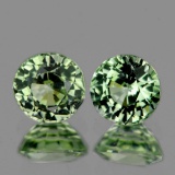 Natural AAA Bright Green Sapphire Pair - VVS