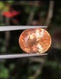 Natural Padparadscha Sapphire ( True Sunset Color)
