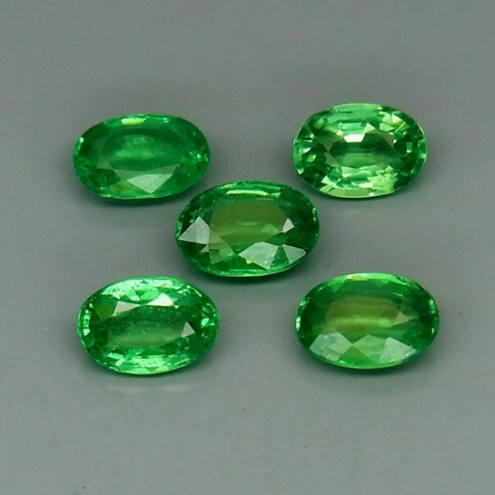 Natural Top Green Tsavorite Garnet Tanzania 5Pcs/2.25Ct